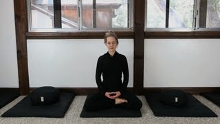 Zen Meditation Instruction How to Meditate [upl. by Gayler124]