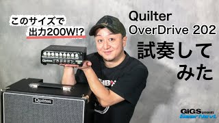 【試奏してみた】Quilter OverDrive 202【GiGS】 [upl. by Orrocos]