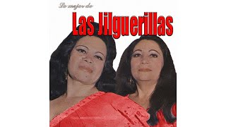 Las Jilguerillas  Largas Se Me Hacen Las Horas Cover Audio [upl. by Aisauqal157]