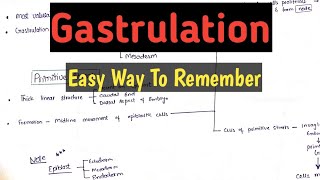 Gastrulation Embryology  Very Easy Way to Remember [upl. by Ibrab270]