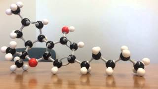 The Cannabinoid Molecular Structure Part 2 [upl. by York620]