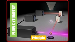 Flowcytometry Basics  Principle [upl. by Stacia]