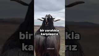 Kimdir bu Gulyabani  🤔 keşfet ilginç [upl. by Deeraf]