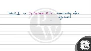 Which of the following stages of meiosis involves division of centromere [upl. by Aittam652]