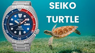 Seiko turtle nel 2023 RECENSIONE l orologio più iconico di Seiko [upl. by Ydnis]