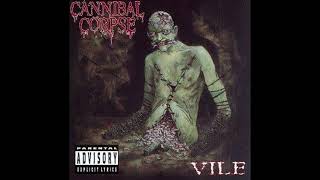 Cannibal Corpse  Devoured by Vermin instrumental  karaoke track [upl. by Recnal152]