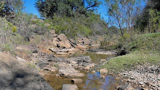 1250 acre Shackelford County Texas Ranch for Sale  Texas Hunting Land LLC [upl. by Lillie]