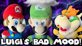 AMB  Luigi’s Bad Mood [upl. by Nogam]