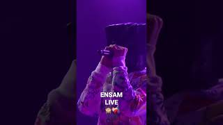 ENSAM LIVE 🙈❤️‍🩹 [upl. by Willetta486]