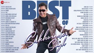 Best of Sukhwinder Singh 🎵 3 Hours NonStop 🎵 Udi Udi Jaye Tuu Jungle Mein Kaand Rabba amp More [upl. by Aerbua]