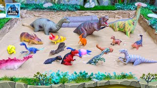 Herbivore Dinosaurs Carnivore Dinosaurs amp Omnivore Dinosaurs for Kids Fun Learning 🦕 [upl. by Grodin338]