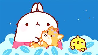 Molang  Il Gattino Dai Denti a Sciabola  Cartoni Animati Divertenti Per Bambin [upl. by Junette]