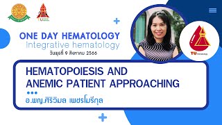 EP10 Hematopoiesis and anemic patient approaching  อพญศิริวิมล เพชรโมรีกุล [upl. by Yelnoc740]