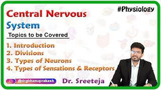 17Nervous System1Divisions of Nervous System Anatomy Intro Dr Ahmed Kamal [upl. by Duntson]