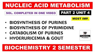 Unit 4 Biosynthesis of Purine and Pyrimidine nucleotides  Gout  Part 2  Biochemistry 2nd sem [upl. by Cutler48]