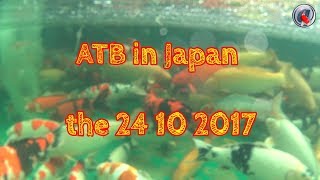 ATB in Japan the 24 10 2017 [upl. by Hume]