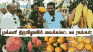 📸✨முக்கனி திருவிழா24 சிறப்பு பார்வை  Fruit Trilogy Fest 2024 Highlights with Our Customers🍋💛 [upl. by Weaver]