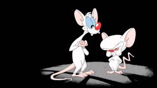 Pinky and the Brain Theme Song Intro HQ with Lyrics [upl. by Nytsua]