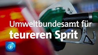 Umweltbundesamt für höhere Spritpreise [upl. by Banyaz]