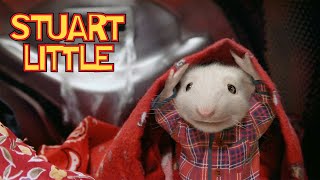 Stuarts New Family And His Ultimate Adventure  Stuart Little [upl. by Carine]