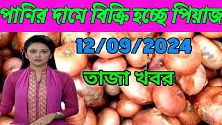 কোন পরিবর্তন নেই পেঁয়াজের পাইকারি বাজারে  ১৩০৯২৪ আজকে পেঁয়াজের খবর [upl. by Cornall648]