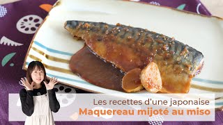 Recette Maquereau mijoté au miso  Saba no misoni  Les Recettes dune Japonaise [upl. by Catharina]