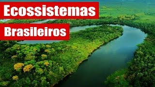 Principais ecossistemas brasileiros Resumos suas características gerais [upl. by Ealasaid]