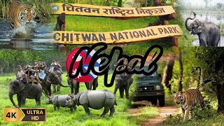 Gateway of Chitwan National Park Sauraha [upl. by Meli]