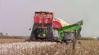 Case IH CPX620 Cotton Picker [upl. by Renaud]