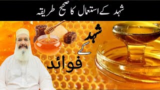 Shehad Ke Fayde  Health Benefits of Honey  Shehad Khane Ka Tarika Honey Khane Ke Fayde UrduHindi [upl. by Patrizius]