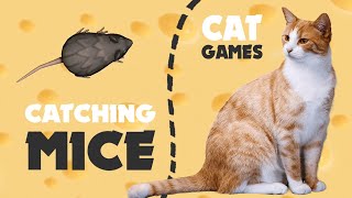 Mice game for cats on screen  CAT GAMES [upl. by Gwynne]