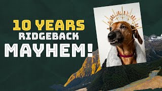 TEN Years Living With Rhodesian Ridgeback Mayhem [upl. by Pompei]