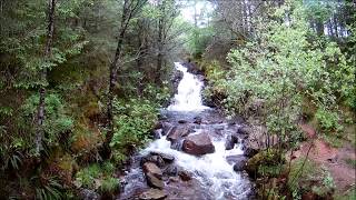 Ennerdale Trail  Forest Waterfalls amp Rivers [upl. by Hairahcaz606]