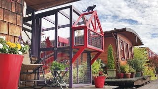 Catio Life CH CATS HOUSEBOAT CATIO by Catio Spaces [upl. by Redford]