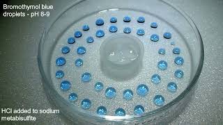 Bromothymol Colour Change  Sulfur Dioxide [upl. by Sevy]