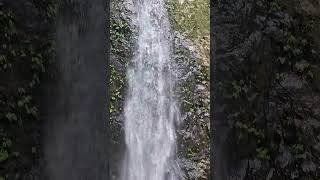 Copal Falls at Mashpi Lodge Ecuador January 2024 [upl. by Nidnarb]