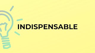 What is the meaning of the word INDISPENSABLE [upl. by Euqcaj]