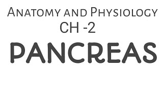 Pancreas Anatomy and physiology  DR Anil [upl. by Nnalorac847]