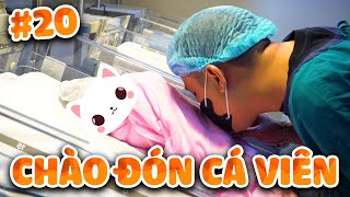 Thầy Ba Vlogs 20  ĐÓN CÁ VIÊN  ĐỘNG LỰC KIẾM TIỀN THỨ 2 CỦA THẦY BA [upl. by Akanke737]