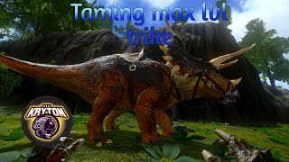 Taming max level trike and leveling up  ark season 1 ep5  ark survival evolved [upl. by Dnanidref577]