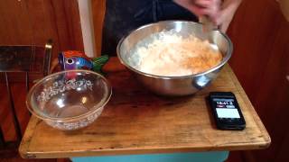 Mixing the Peasant Bread Dough Using Active Dry Yeast [upl. by Eibrik288]