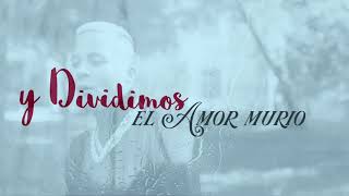 Nio Garcia  Dividimos Bachata Version Lyric Video [upl. by Ibbison]