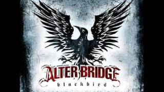 Alter Bridge  Brand New Start  Lyrics [upl. by Salamanca731]