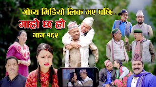 तिहारको भाई टिका II Garo Chha Ho II Episode 176 II Nov 13 2023 II Begam Nepali II Riyasha Dahal [upl. by Ahseela]