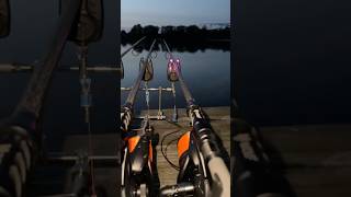 Carpsounder AGE Pro Carprun 😎 catchfish carprun compilation fishingtackle fishinggear bite [upl. by Adnovaj]