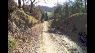 Via Francigena da Lucca a Siena [upl. by Ennaeel]