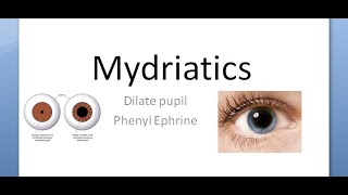 Ophthalmology 580 Mydriatic Dilate Pupil PhenylEphrine Tropicamide Mydriasis Eye drop fundoscopy [upl. by Atled]