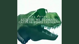 Auxilio Me Desmayo Cállese Viejo Lesbiano [upl. by Ainsley]