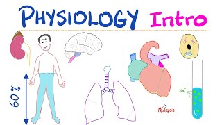 Physiology Introduction  What is Physiology  A Complete Playlist  Doctors Nurses Undergrads [upl. by Lynus]