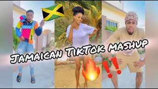 NEW JAMAICAN TIKTOK DANCE MASHUP 2024 [upl. by Liz579]